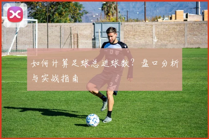 如何计算足球总进球数?盘口分析与实战指南